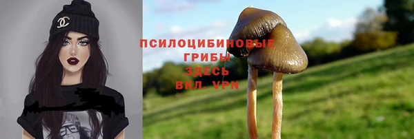 PSILOCYBIN Бородино